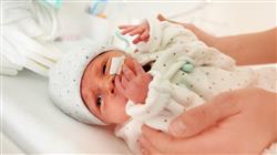 posgrado avances neurologiia prenatal neonatal