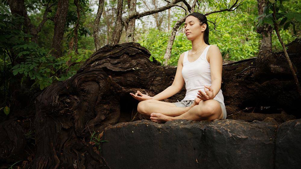 e aplicacion yoga terapeutico practica clinica medicina