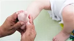 ##IMAGE##