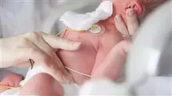 ##IMAGE##