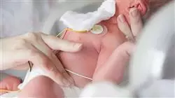 ##IMAGE##