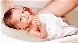 ##IMAGE##