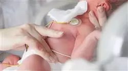 ##IMAGE##