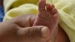 ##IMAGE##