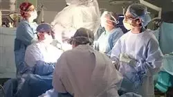 diplomado online enfermedades infecciosas parainfecciosas inflamatorias autoinmunes sistema nervioso