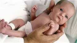 ##IMAGE##
