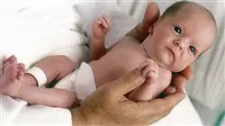 ##IMAGE##