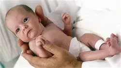 ##IMAGE##