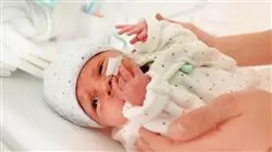 ##IMAGE##