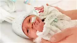 ##IMAGE##
