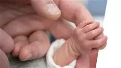 ##IMAGE##