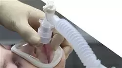 ##IMAGE##