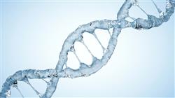 diplomado online medicina genomica integrativa