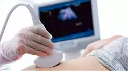 experto ecografia gestacion multiple ecocardiografia neurosonografia fetal