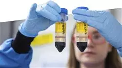 posgrado generacion proyectos investigacion medica