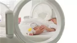 ##IMAGE##