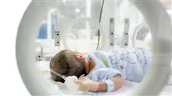 ##IMAGE##