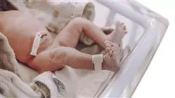 ##IMAGE##