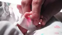 ##IMAGE##