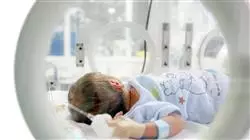 ##IMAGE##