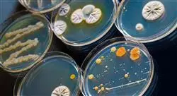 curso online epidemiología y microbiología de las enfermedades infecciosas