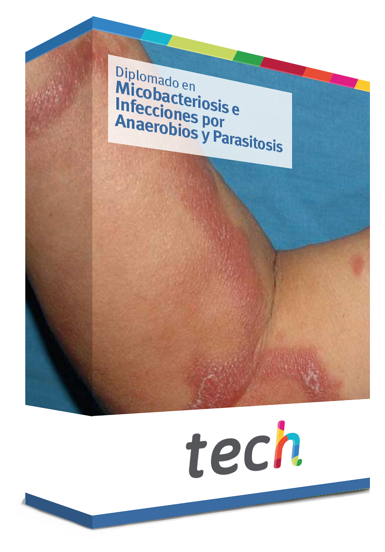 diplomado micobacteriosis infecciones anaerobios parasitosis caja