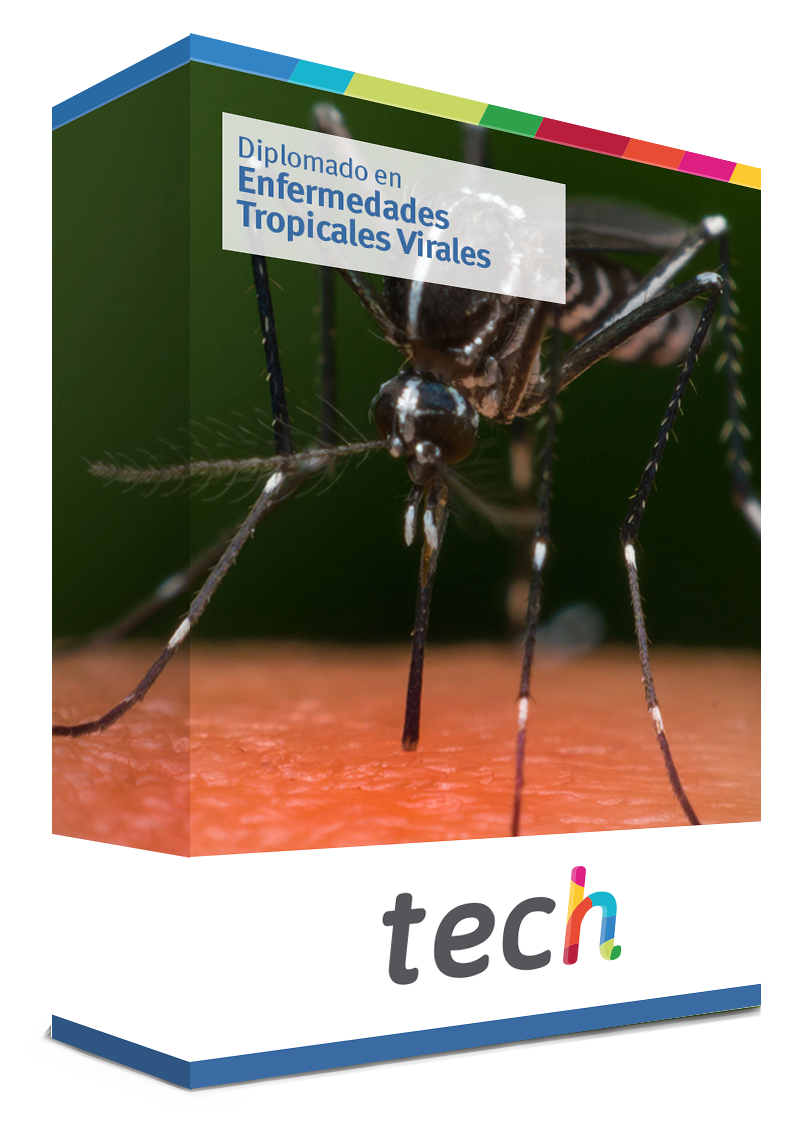 diplomado enfermedades tropicales virales caja