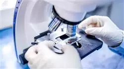 ##IMAGE##