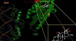 formacion síndrome antifosfolipídico