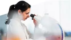 ##IMAGE##