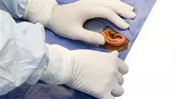 ##IMAGE##