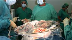 1 d biologia molecular oncologia translacional cancer digestivo