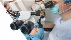 ##IMAGE##