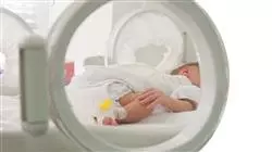 ##IMAGE##