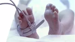 ##IMAGE##