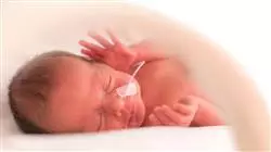 ##IMAGE##