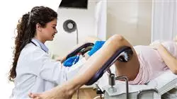maestria oncologia ginecologica integral