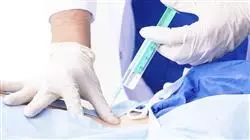 ##IMAGE##