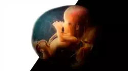 ##IMAGE##