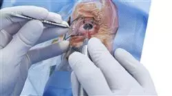 ##IMAGE##