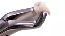 ##IMAGE##
