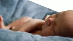 ##IMAGE##
