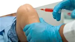 ##IMAGE##