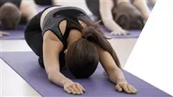 ##IMAGE##