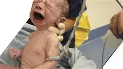 ##IMAGE##