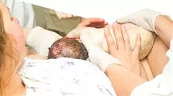 ##IMAGE##