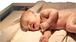 ##IMAGE##