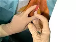##IMAGE##
