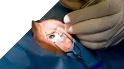 ##IMAGE##
