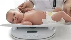 ##IMAGE##